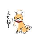 名前入り赤しば（個別スタンプ：17）