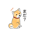 名前入り赤しば（個別スタンプ：20）