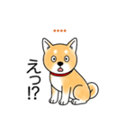 名前入り赤しば（個別スタンプ：21）
