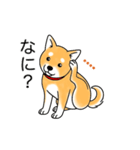 名前入り赤しば（個別スタンプ：23）