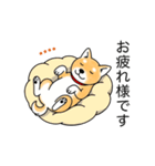 名前入り赤しば（個別スタンプ：24）