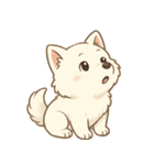 白柴犬ちゃんと日本犬（個別スタンプ：2）