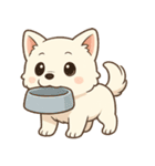 白柴犬ちゃんと日本犬（個別スタンプ：9）