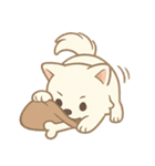 白柴犬ちゃんと日本犬（個別スタンプ：12）