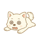 白柴犬ちゃんと日本犬（個別スタンプ：19）