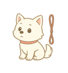 白柴犬ちゃんと日本犬（個別スタンプ：20）