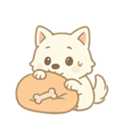 白柴犬ちゃんと日本犬（個別スタンプ：21）