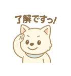 白柴犬ちゃんと日本犬（個別スタンプ：27）