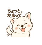 白柴犬ちゃんと日本犬（個別スタンプ：31）