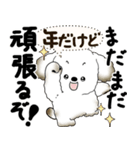 犬さん『誰だって年を取るのよ』2025（個別スタンプ：12）