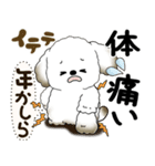 犬さん『誰だって年を取るのよ』2025（個別スタンプ：13）