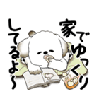 犬さん『誰だって年を取るのよ』2025（個別スタンプ：25）