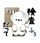 犬さん『誰だって年を取るのよ』2025（個別スタンプ：32）