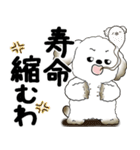 犬さん『誰だって年を取るのよ』2025（個別スタンプ：37）