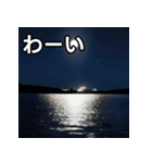 夜の島（個別スタンプ：14）