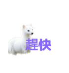 オコジョ C（個別スタンプ：25）