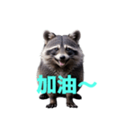 タヌキ C（個別スタンプ：14）