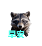 タヌキ C（個別スタンプ：17）