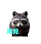 タヌキ C（個別スタンプ：19）