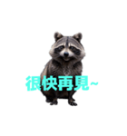 タヌキ C（個別スタンプ：33）