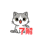 使いやすい猫スタンプ X（個別スタンプ：1）