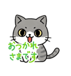 使いやすい猫スタンプ X（個別スタンプ：3）