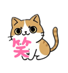 使いやすい猫スタンプ X（個別スタンプ：13）