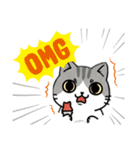 使いやすい猫スタンプ X（個別スタンプ：14）