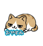 使いやすい猫スタンプ X（個別スタンプ：16）
