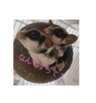 モモンガの日常（幼少期（個別スタンプ：1）