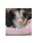 モモンガの日常（幼少期（個別スタンプ：2）