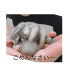 モモンガの日常（幼少期（個別スタンプ：6）