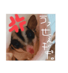 モモンガの日常（幼少期（個別スタンプ：7）