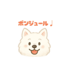 サモエドさん【ベルギー編】（個別スタンプ：1）