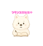 サモエドさん【ベルギー編】（個別スタンプ：13）