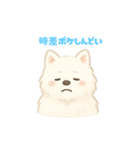 サモエドさん【ベルギー編】（個別スタンプ：25）