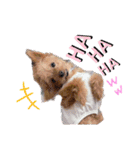 ❤︎ぷうちゃん❤︎（個別スタンプ：5）