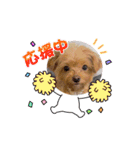❤︎ぷうちゃん❤︎（個別スタンプ：14）