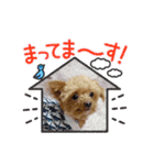 ❤︎ぷうちゃん❤︎（個別スタンプ：18）