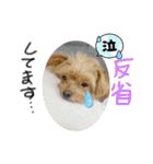 ❤︎ぷうちゃん❤︎（個別スタンプ：19）