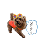 ❤︎ぷうちゃん❤︎（個別スタンプ：20）