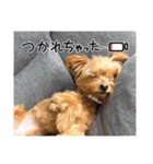 ❤︎ぷうちゃん❤︎（個別スタンプ：21）
