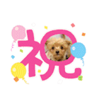 ❤︎ぷうちゃん❤︎（個別スタンプ：26）