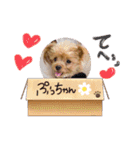 ❤︎ぷうちゃん❤︎（個別スタンプ：27）