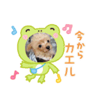 ❤︎ぷうちゃん❤︎（個別スタンプ：28）