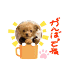 ❤︎ぷうちゃん❤︎（個別スタンプ：29）