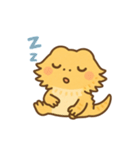 フトアゴヒゲトカゲの日常.⭐︎（個別スタンプ：3）