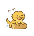 フトアゴヒゲトカゲの日常.⭐︎（個別スタンプ：6）