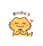 フトアゴヒゲトカゲの日常.⭐︎（個別スタンプ：7）
