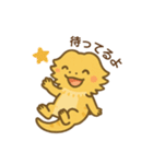 フトアゴヒゲトカゲの日常.⭐︎（個別スタンプ：11）